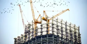 The top of an under construction high rise building with three yellow tower cranes on top and a small flock of birds flying past